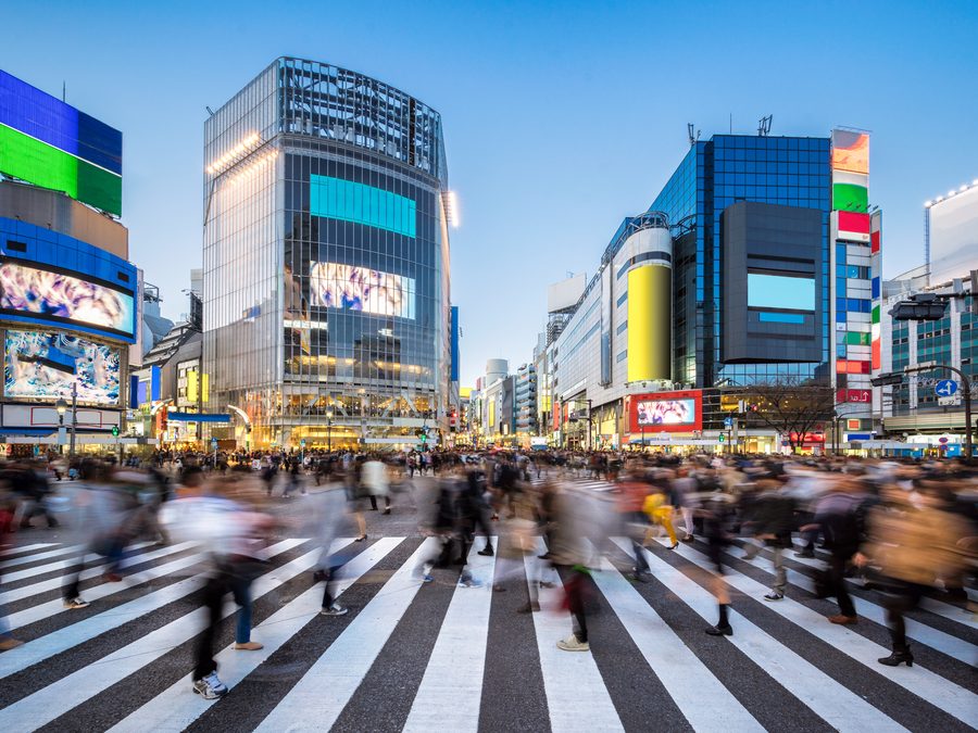 Elite Tokyo Tours — tourism strategy build